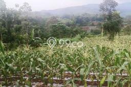 Kavling Tanah Dijual di Cireunghas, Sukabumi, Luas 4513m2 Area Strategis Kavling Tanah Dijual di Cireunghas, Sukabumi, Luas 4513m2 Area Strategis
