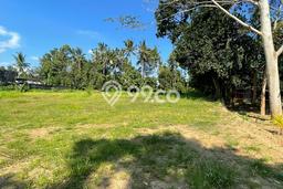 Tanah Dijual Lokasi Denpasar Timur, Denpasar Luas 3680m2 Legalitas Aman Tanah Dijual Lokasi Denpasar Timur, Denpasar Luas 3680m2 Legalitas Aman