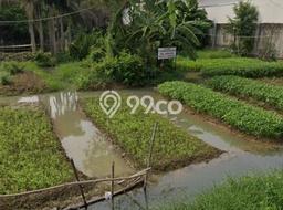 Kavling Tanah Dijual di Cipondoh Tangerang Spesifikasi 800m2 Kavling Tanah Dijual di Cipondoh Tangerang Spesifikasi 800m2