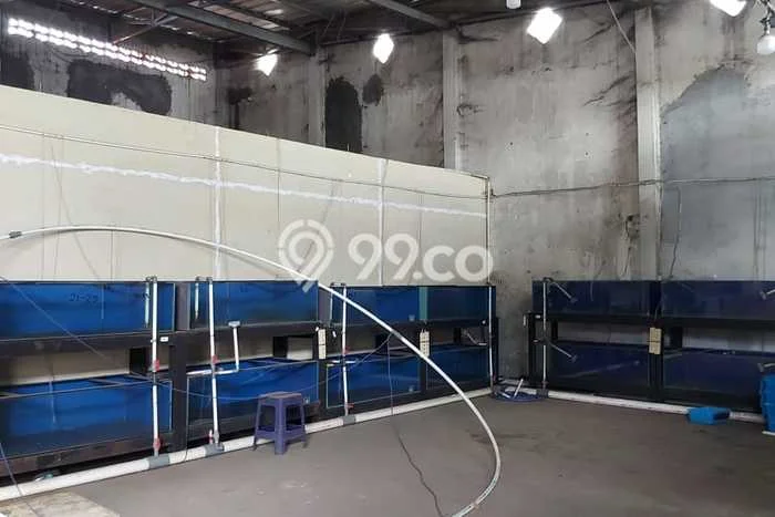 Disewakan Gudang di Pusat Kota Tangerang Ramai Strategis Disewakan Gudang di Pusat Kota Tangerang Ramai Strategis