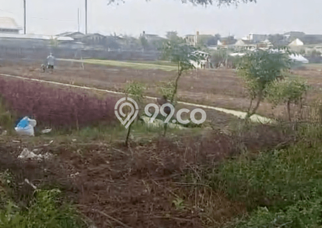 Kavling Tanah Dijual di Sepatan Tangerang Spesifikasi 1200m2 Kavling Tanah Dijual di Sepatan Tangerang Spesifikasi 1200m2