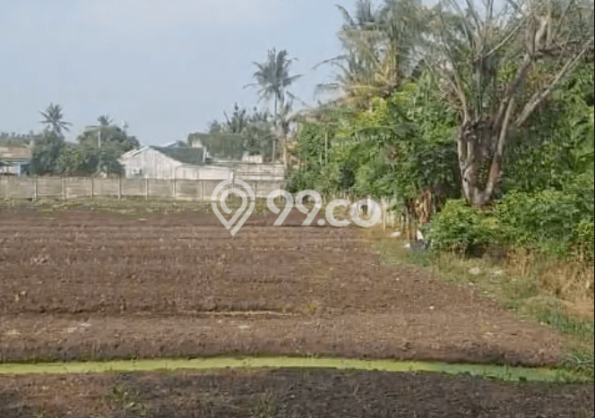 Kavling Tanah Dijual di Sepatan Tangerang Spesifikasi 1200m2 Kavling Tanah Dijual di Sepatan Tangerang Spesifikasi 1200m2