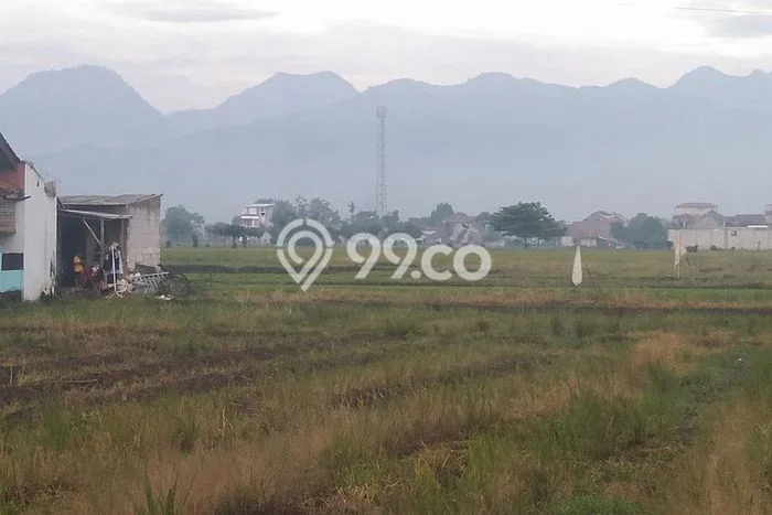Kavling Tanah di Katapang Dijual Luas 5600m2 Legalitas SHM Kavling Tanah di Katapang Dijual Luas 5600m2 Legalitas SHM