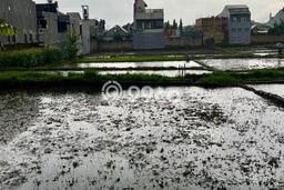 Kavling Tanah untuk Dijual di Cimahi, Bandung, Luas 6234m2 Kavling Tanah untuk Dijual di Cimahi, Bandung, Luas 6234m2