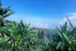 Dijual Tanah 9055m2 di Awiligar, Bandung Dijual Tanah 9055m2 di Awiligar, Bandung