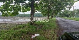 Dijual Tanah Kawasan Komersial di Palasah, Luas 10000m², Ideal untuk Pengembangan Dijual Tanah Kawasan Komersial di Palasah, Luas 10000m², Ideal untuk Pengembangan