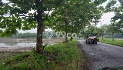 Dijual Tanah Kawasan Komersial di Palasah, Luas 10000m², Ideal untuk Pengembangan Dijual Tanah Kawasan Komersial di Palasah, Luas 10000m², Ideal untuk Pengembangan