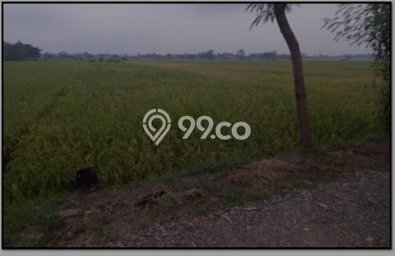 For Sale Tanah Kawasan Dawuan, Luas 1000m², Lokasi Potensial For Sale Tanah Kawasan Dawuan, Luas 1000m², Lokasi Potensial