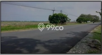 Tanah di Ligung, Luas 100000m², Lokasi Strategis, Kawasan Asri, Kontur Datar Tanah di Ligung, Luas 100000m², Lokasi Strategis, Kawasan Asri, Kontur Datar