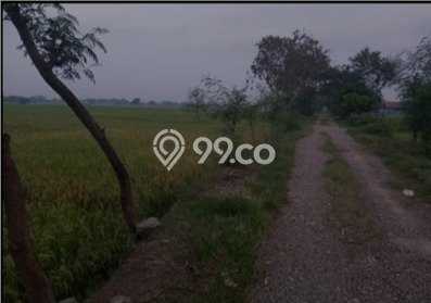 For Sale Tanah Kawasan Dawuan, Luas 1000m², Lokasi Potensial For Sale Tanah Kawasan Dawuan, Luas 1000m², Lokasi Potensial