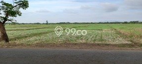Jual Tanah Kawasan Ligung, Luas 200000m², Lokasi Potensial Jual Tanah Kawasan Ligung, Luas 200000m², Lokasi Potensial
