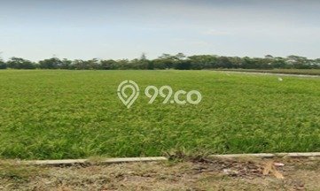 Jual Tanah Lokasi Prima di Ligung, Luas 20000m², Dekat Ligung, Majalengka, Majalengka Jual Tanah Lokasi Prima di Ligung, Luas 20000m², Dekat Ligung, Majalengka, Majalengka