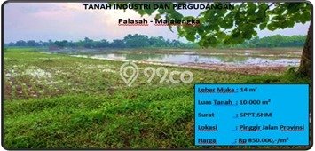 Dijual Tanah Kawasan Komersial di Palasah, Luas 10000m², Ideal untuk Pengembangan Dijual Tanah Kawasan Komersial di Palasah, Luas 10000m², Ideal untuk Pengembangan