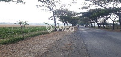 AREA PROSPEKTIF! Tanah di Ligung, Luas 180000m², Dekat Fasilitas Umum, Kawasan Potensial AREA PROSPEKTIF! Tanah di Ligung, Luas 180000m², Dekat Fasilitas Umum, Kawasan Potensial