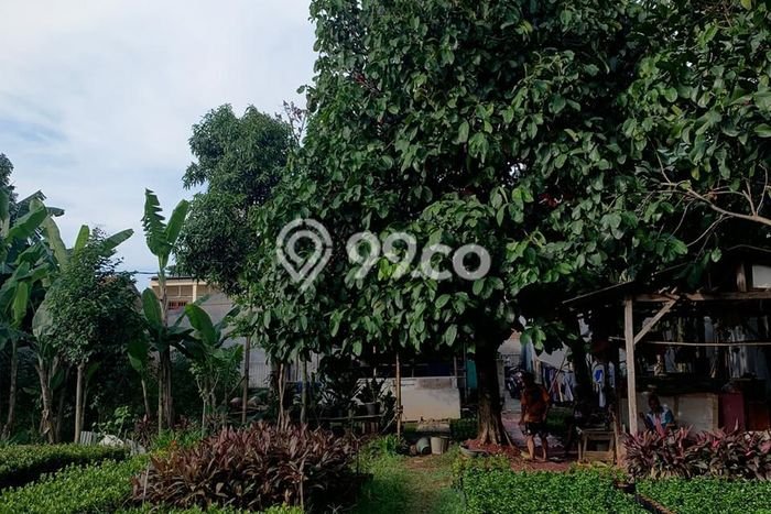Tanah Kavling Dijual di Jakarta Barat dengan Spesifikasi 4550m2 Tanah Kavling Dijual di Jakarta Barat dengan Spesifikasi 4550m2