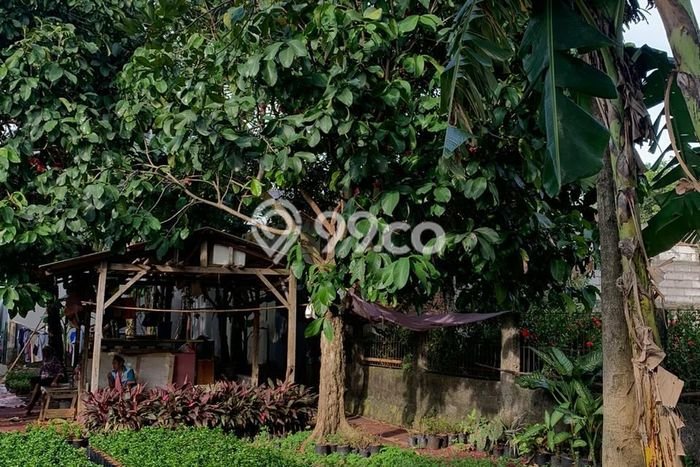 Tanah Kavling Dijual di Jakarta Barat dengan Spesifikasi 4550m2 Tanah Kavling Dijual di Jakarta Barat dengan Spesifikasi 4550m2