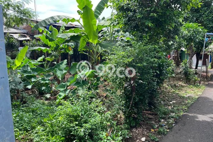 Sangat Dicari! Lahan Kosong Disewakan di Sukma Jaya, Depok Sangat Dicari! Lahan Kosong Disewakan di Sukma Jaya, Depok