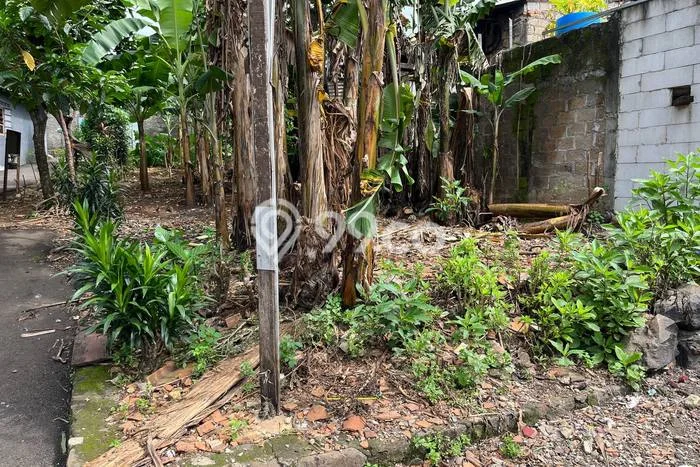 Sangat Dicari! Lahan Kosong Disewakan di Sukma Jaya, Depok Sangat Dicari! Lahan Kosong Disewakan di Sukma Jaya, Depok