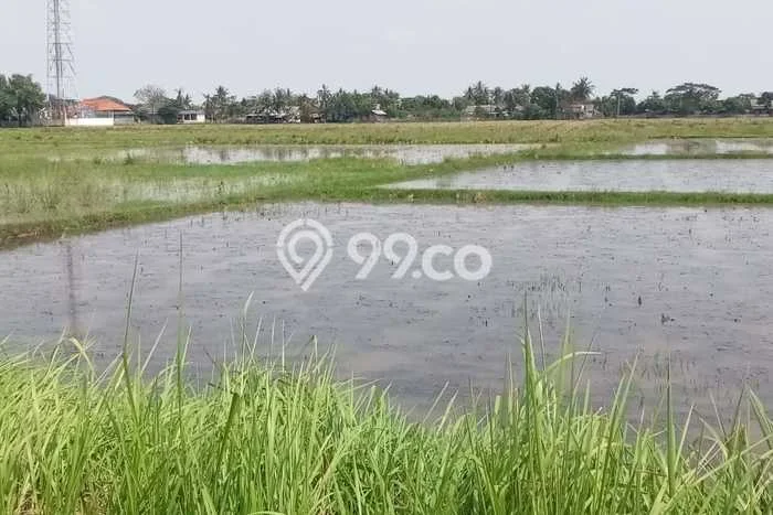 Lahan Investasi Lokasi Karawang Barat Karawang - Lahan Investasi Lokasi Karawang Barat Karawang -