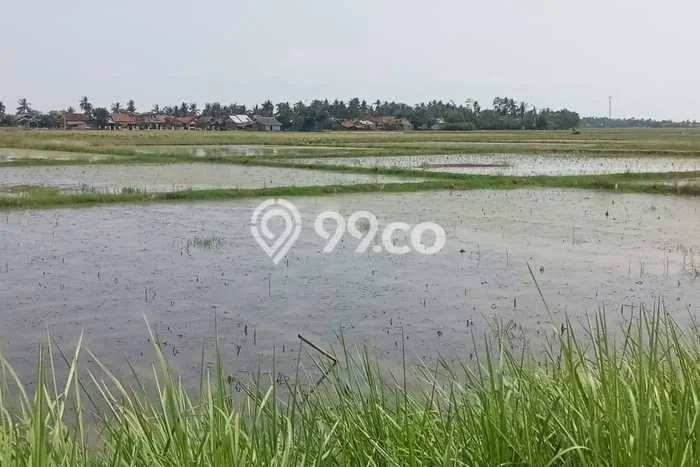 Lahan Investasi Lokasi Karawang Barat Karawang - Lahan Investasi Lokasi Karawang Barat Karawang -