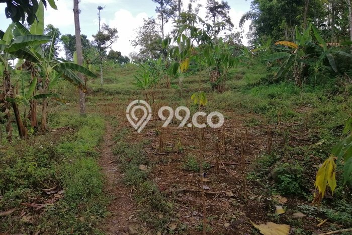 Lahan Strategis di Trawas Dijual dengan Luas 12000m2 Lahan Strategis di Trawas Dijual dengan Luas 12000m2