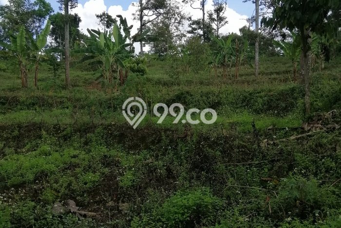 Lahan Strategis di Trawas Dijual dengan Luas 12000m2 Lahan Strategis di Trawas Dijual dengan Luas 12000m2