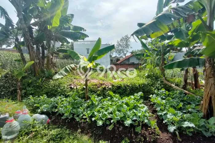 Tanah Komersial Dijual di Parongpong Bandung Barat 250m2 Tanah Komersial Dijual di Parongpong Bandung Barat 250m2