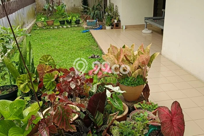 Dijual Rumah 4 Kamar Lokasi Ideal Nyaman dan Strategis di Parongpong Dijual Rumah 4 Kamar Lokasi Ideal Nyaman dan Strategis di Parongpong