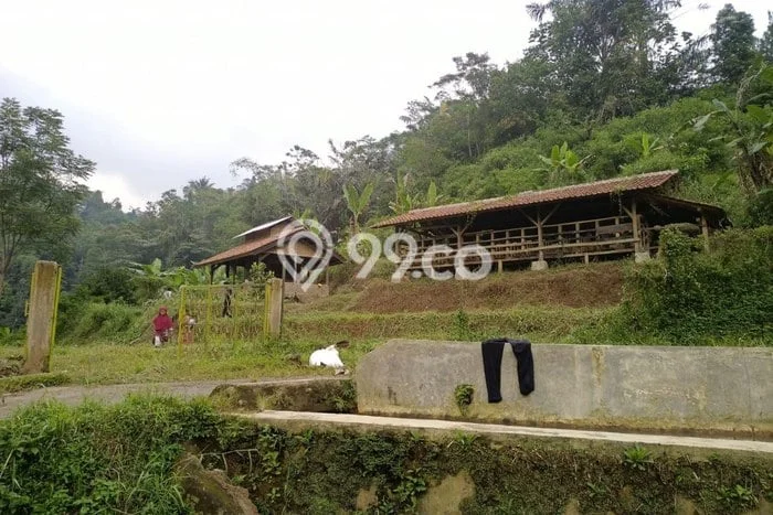 Kavling Tanah Dijual di Ciater Subang Spesifikasi 1991m2 Kavling Tanah Dijual di Ciater Subang Spesifikasi 1991m2
