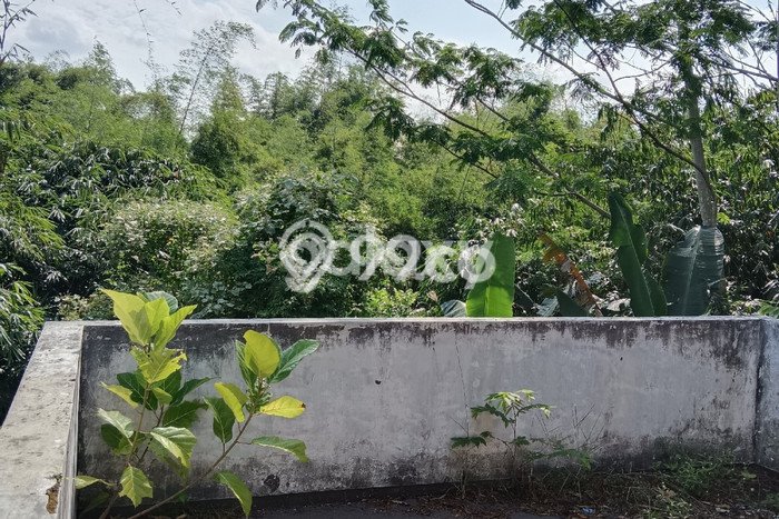 Unit Gudang Disewa Lokasi Pakis, Malang Spesifikasi Luas Bangunan 3000m2 Unit Gudang Disewa Lokasi Pakis, Malang Spesifikasi Luas Bangunan 3000m2