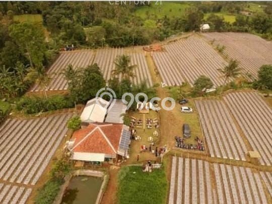 Tanah di Purwakarta, Luas 16000m², Dekat Purwakarta, Cilegon, Cilegon Tanah di Purwakarta, Luas 16000m², Dekat Purwakarta, Cilegon, Cilegon