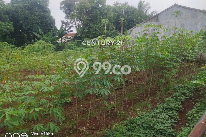 Tanah Dijual Lokasi Bogor Barat, Bogor Luas 2190m2 Legalitas Aman Tanah Dijual Lokasi Bogor Barat, Bogor Luas 2190m2 Legalitas Aman