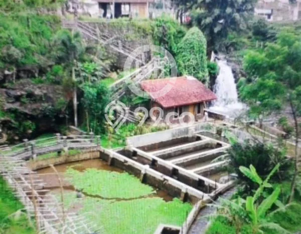 Kavling Tanah Dijual di Ciater Subang Spesifikasi 5000m2 Kavling Tanah Dijual di Ciater Subang Spesifikasi 5000m2