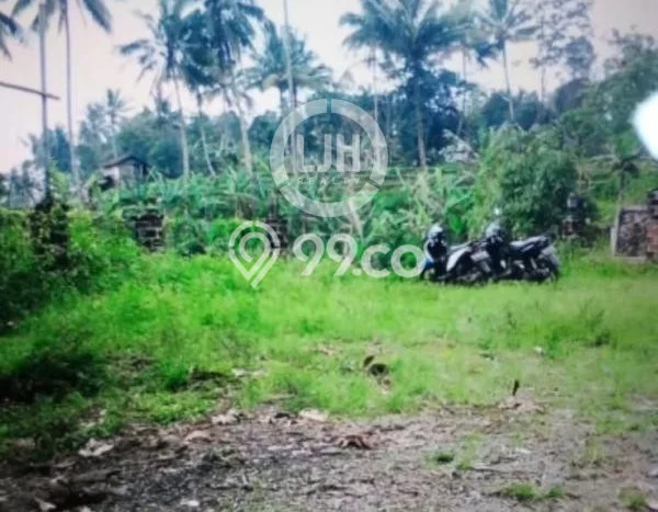 Kavling Tanah Dijual di Ciater Subang Spesifikasi 5000m2 Kavling Tanah Dijual di Ciater Subang Spesifikasi 5000m2