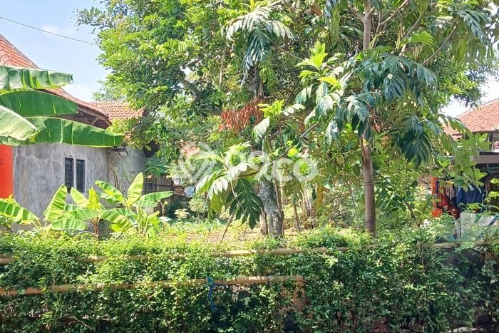 Kavling Tanah Dijual di Tembalang Semarang Spesifikasi 280m2 Kavling Tanah Dijual di Tembalang Semarang Spesifikasi 280m2
