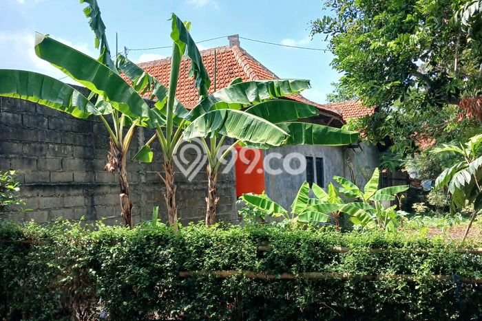 Kavling Tanah Dijual di Tembalang Semarang Spesifikasi 280m2 Kavling Tanah Dijual di Tembalang Semarang Spesifikasi 280m2