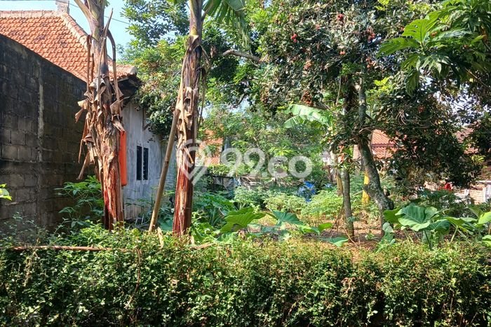 Kavling Tanah Dijual di Tembalang Semarang Spesifikasi 280m2 Kavling Tanah Dijual di Tembalang Semarang Spesifikasi 280m2