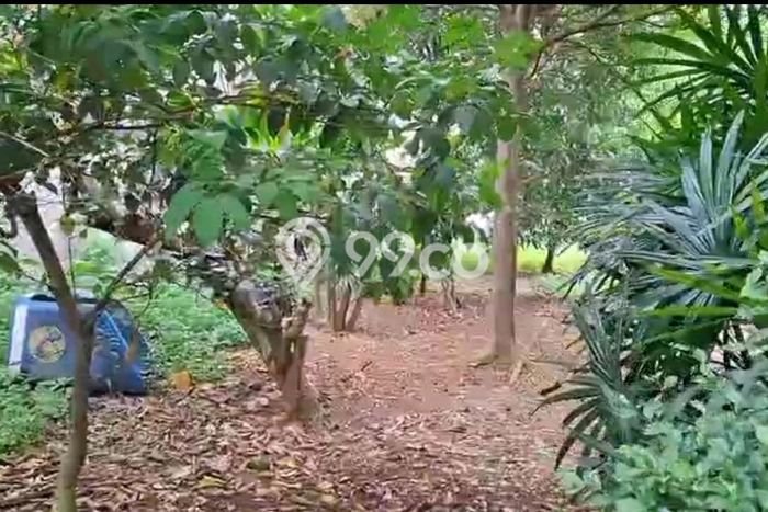 Tanah untuk Dijual Lokasi Ciledug, Tangerang Luas 2300m2 SHM Tanah untuk Dijual Lokasi Ciledug, Tangerang Luas 2300m2 SHM