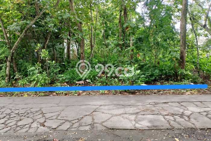 Lahan Strategis di Kasihan Dijual dengan Luas 544m2 Lahan Strategis di Kasihan Dijual dengan Luas 544m2