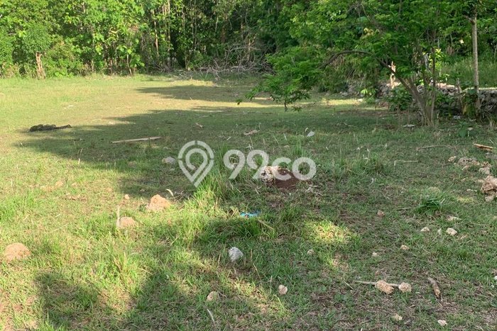 Tanah Kavling untuk Dijual di Kuta Badung 5.61e+06m2 Tanah Kavling untuk Dijual di Kuta Badung 5.61e+06m2