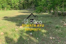 Untuk Dijual Tanah di Badung, Luas 56100m2 SHM Untuk Dijual Tanah di Badung, Luas 56100m2 SHM