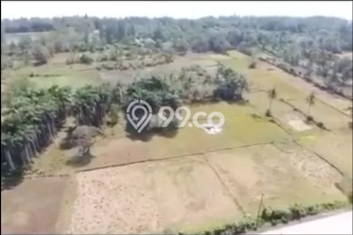Kavling Tanah Dijual di Pandeglang Pandeglang Spesifikasi 41666m2 Kavling Tanah Dijual di Pandeglang Pandeglang Spesifikasi 41666m2