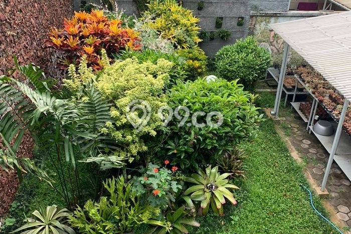 Rumah Elit LB 266m2 Siap Pakai Desain Elegan di Cipaganti, Bandung Rumah Elit LB 266m2 Siap Pakai Desain Elegan di Cipaganti, Bandung
