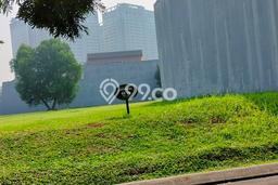 Dijual Tanah 250m2 di Gading Serpong, Tangerang Dijual Tanah 250m2 di Gading Serpong, Tangerang