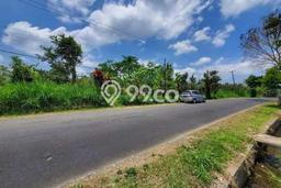 Tanah di Abiansemal, Badung Luas 7700m2 Dijual Segera Tanah di Abiansemal, Badung Luas 7700m2 Dijual Segera