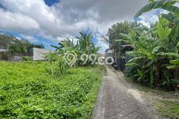 Untuk Disewa Tanah di Canggu Badung Seluas 1000m2 Untuk Disewa Tanah di Canggu Badung Seluas 1000m2