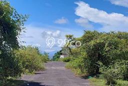 Dijual Tanah di Badung, Luas 600m2 SHM Dijual Tanah di Badung, Luas 600m2 SHM
