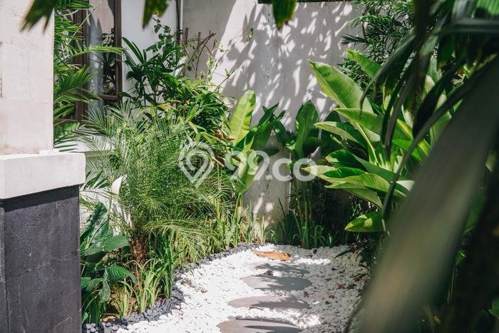 Disewakan Rumah Harga Terjangkau di Kerobokan Badung dengan 3 Kamar Tidur Disewakan Rumah Harga Terjangkau di Kerobokan Badung dengan 3 Kamar Tidur