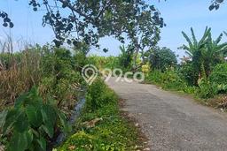 Kavling Tanah di Tabanan Dijual Luas 500m2 Legalitas - Kavling Tanah di Tabanan Dijual Luas 500m2 Legalitas -