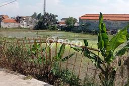 Kavling Tanah di Cileunyi Dijual Luas 5000m2 Legalitas SHM Kavling Tanah di Cileunyi Dijual Luas 5000m2 Legalitas SHM